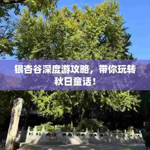 银杏谷深度游攻略,带你玩转秋日童话!
