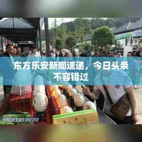 东方乐安新闻速递,今日头条不容错过