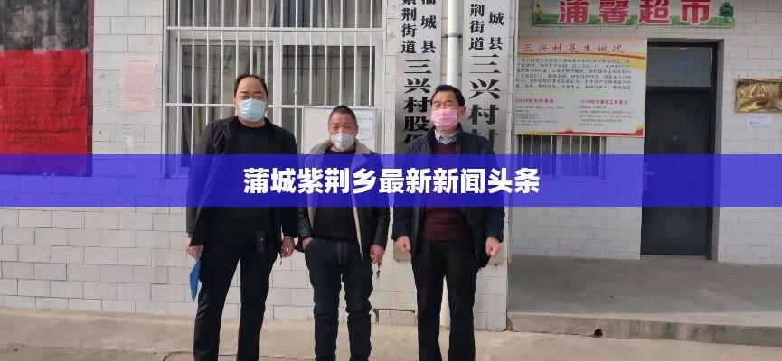 蒲城紫荆乡最新新闻头条