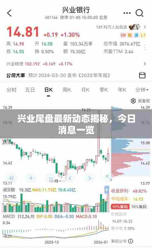 兴业尾盘最新动态揭秘,今日消息一览