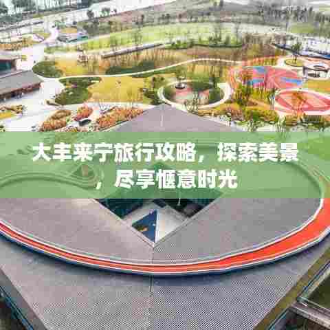 大丰来宁旅行攻略，探索美景，尽享惬意时光