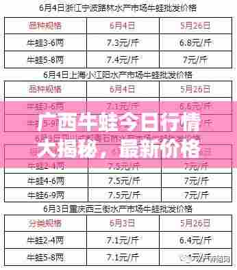 贵险贱璧 第6页