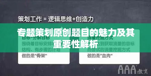 专题策划原创题目的魅力及其重要性解析