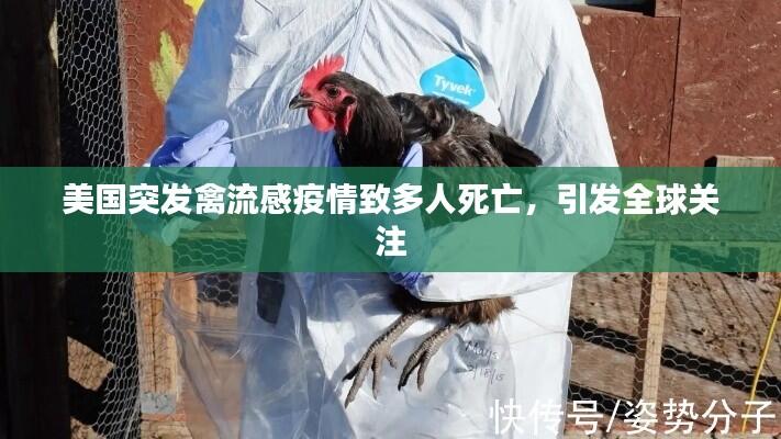 美国突发禽流感疫情致多人死亡,引发全球关注