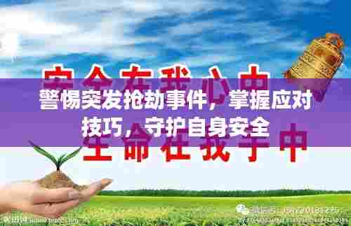 警惕突发抢劫事件，掌握应对技巧，守护自身安全