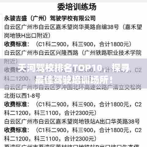 天河驾校排名TOP10,探寻最佳驾驶培训场所!
