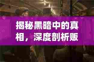 揭秘黑暗中的真相,深度剖析贩毒专题片