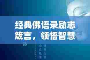 经典佛语录励志箴言，领悟智慧，启迪人生之路