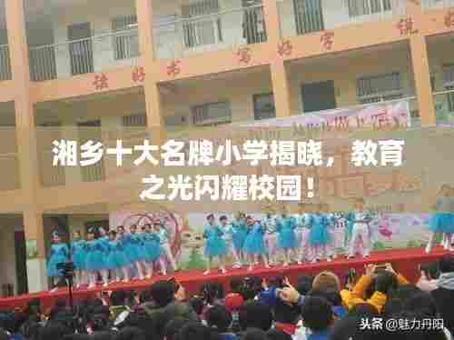 湘乡十大名牌小学揭晓,教育之光闪耀校园!