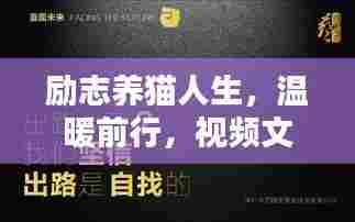 励志养猫人生，温暖前行，视频文案语录分享