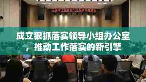 成立狠抓落实领导小组办公室,推动工作落实的新引擎