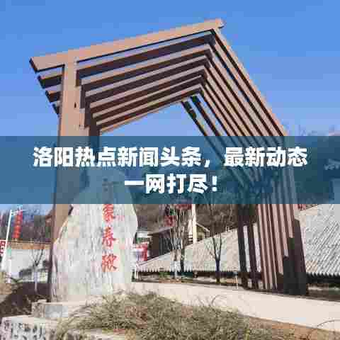 洛阳热点新闻头条,最新动态一网打尽!