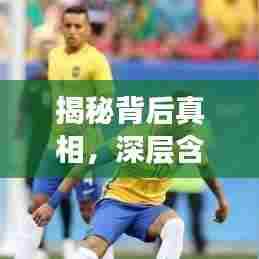 揭秘背后真相，深层含义与重要性的探索与解读