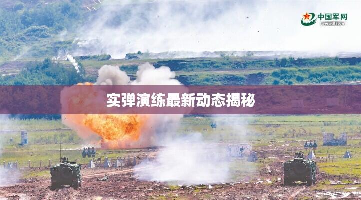 实弹演练最新动态揭秘