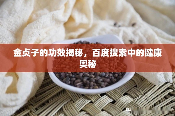 金贞子的功效揭秘,百度搜索中的健康奥秘