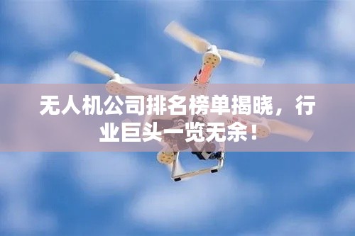 无人机公司排名榜单揭晓,行业巨头一览无余!