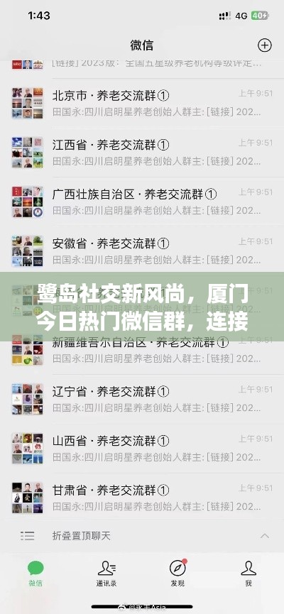 鹭岛社交新风尚，厦门今日热门微信群，连接本地最新社交圈