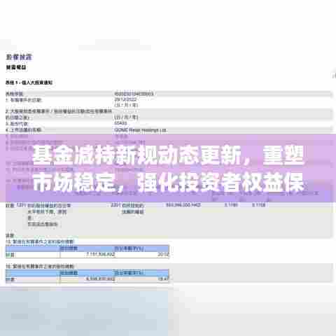 基金减持新规动态更新,重塑市场稳定,强化投资者权益保护