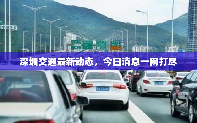深圳交通最新动态,今日消息一网打尽