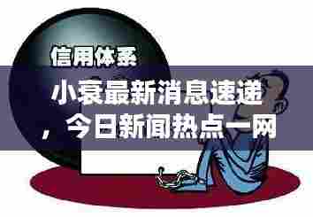 小衰最新消息速递,今日新闻热点一网打尽