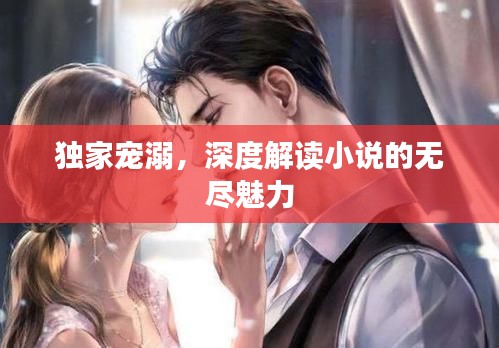 独家宠溺，深度解读小说的无尽魅力
