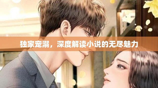 独家宠溺,深度解读小说的无尽魅力