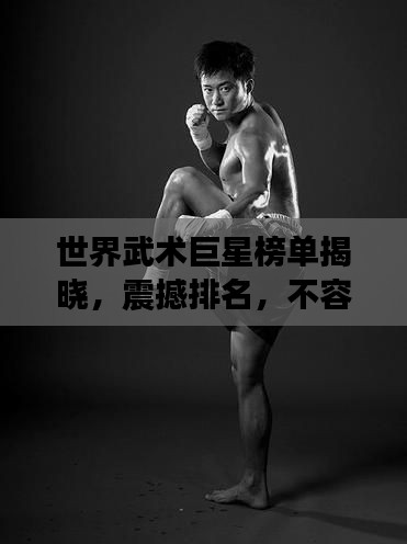 世界武术巨星榜单揭晓,震撼排名,不容错过!