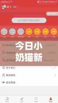 今日小奶猫新闻热点速递,最新消息抢先看