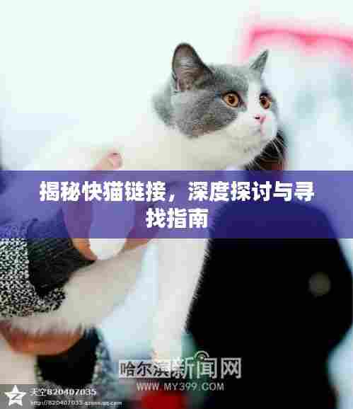 揭秘快猫链接,深度探讨与寻找指南
