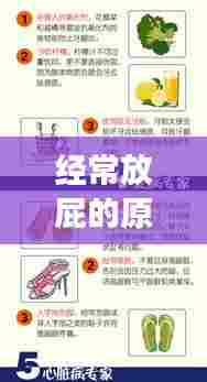 经常放屁的原因解析与改善建议，健康小常识必知