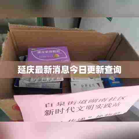 延庆最新消息今日更新查询