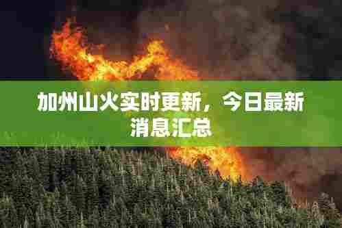加州山火实时更新,今日最新消息汇总
