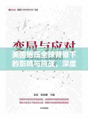 美国施压全球背景下的影响与挑战,深度解析与应对之道