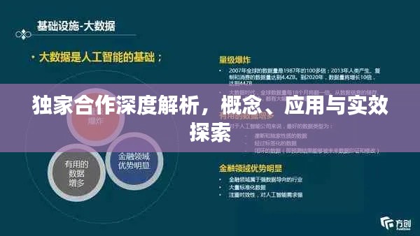 独家合作深度解析,概念、应用与实效探索