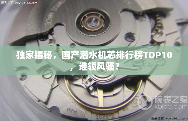 独家揭秘，国产潜水机芯排行榜TOP10，谁领风骚？