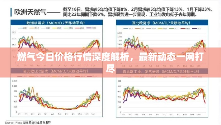 燃气今日价格行情深度解析,最新动态一网打尽