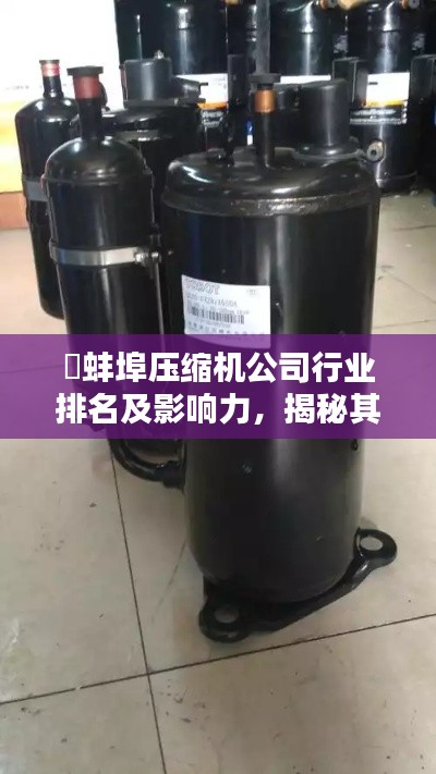 蚌埠压缩机公司行业排名及影响力,揭秘其稳固地位