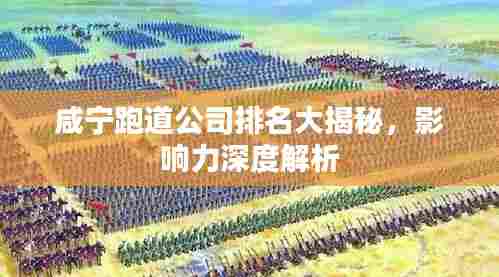 咸宁跑道公司排名大揭秘,影响力深度解析