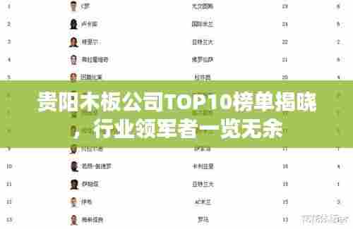 贵阳木板公司TOP10榜单揭晓,行业领军者一览无余