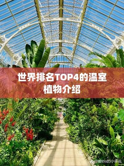 世界排名TOP4的温室植物介绍