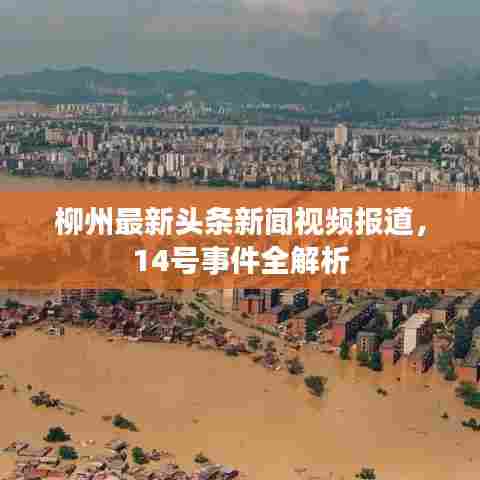 柳州最新头条新闻视频报道，14号事件全解析