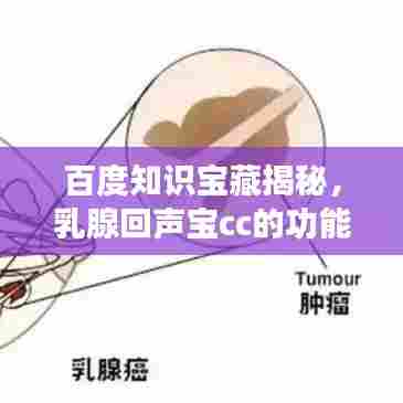 百度知识宝藏揭秘,乳腺回声宝cc的功能与应用探索