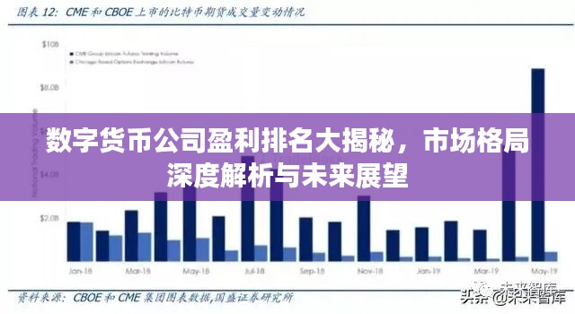数字货币公司盈利排名大揭秘,市场格局深度解析与未来展望