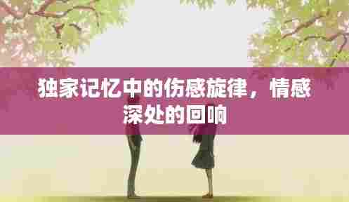 独家记忆中的伤感旋律,情感深处的回响