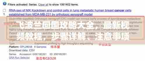 飞波兰回国攻略大全,最新视频教程,步骤详解、注意事项及实用建议一网打尽