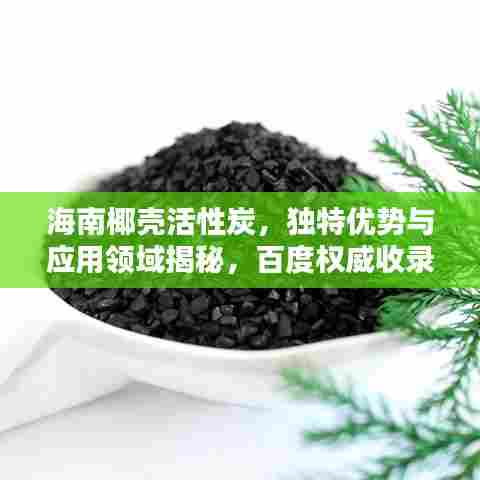 海南椰壳活性炭，独特优势与应用领域揭秘，百度权威收录！