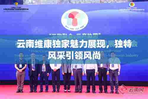云南维康独家魅力展现,独特风采引领风尚