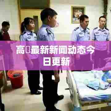 高埗最新新闻动态今日更新