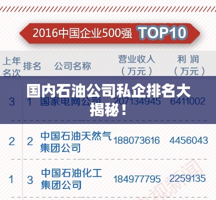国内石油公司私企排名大揭秘!