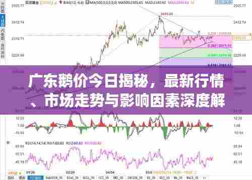 广东鹅价今日揭秘,最新行情、市场走势与影响因素深度解析